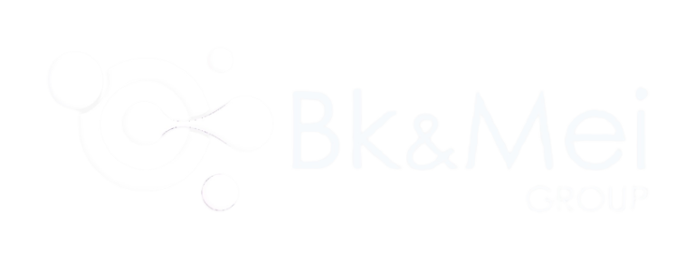 BkMei GROUP Marketing digital y educacion online