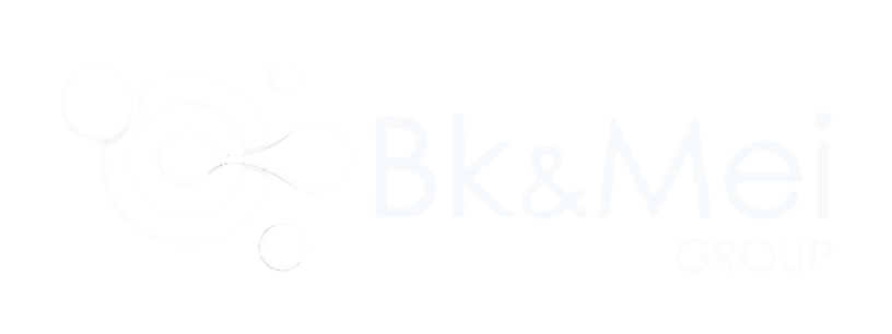 BkMei GROUP Marketing digital y educacion online